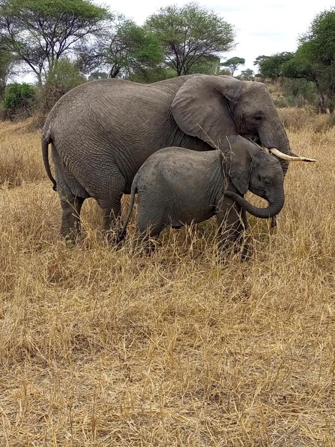 Meru Safari House Arusha Eksteriør billede
